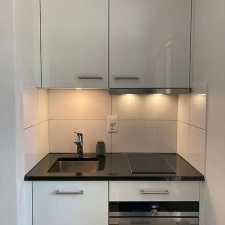 شقة Furnished With Garden Seefeld Close To زيورخ