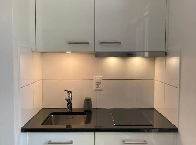 Apartamento Furnished With Garden Seefeld Close To Zurique